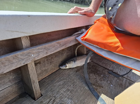 ADVENTURES 360° "Delta del Po"-Porto Tolle必去景点