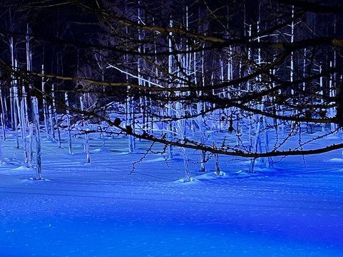 蓝池-美瑛町必去景点