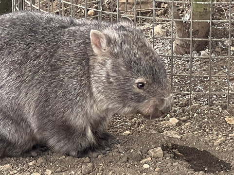 Hamerton Zoo Park-Sawtry必去景点