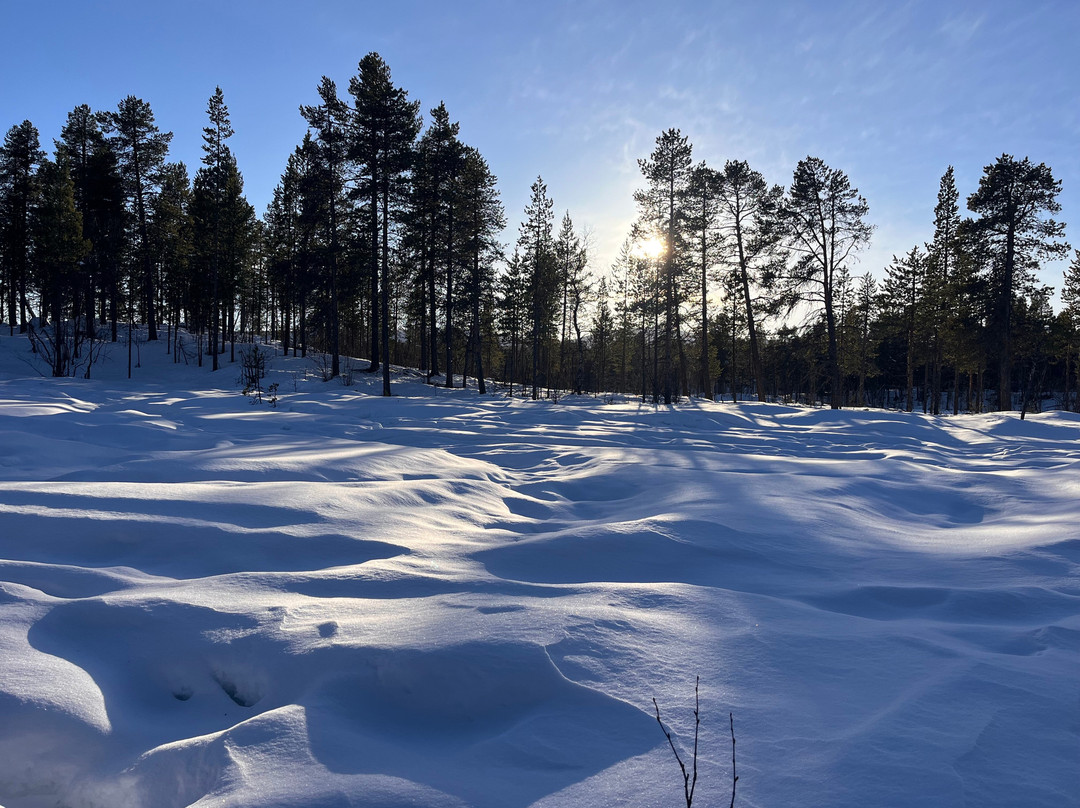 老爷爷极光团-基律纳必去景点
