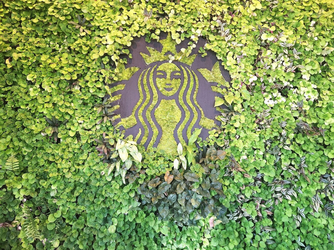 Hacienda Alsacia Starbucks Coffee Farm-Sabanilla必去景点