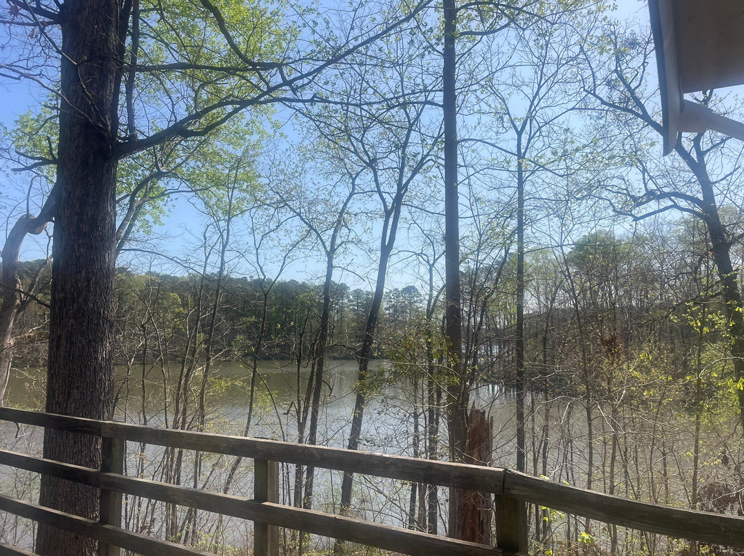 Indian Springs State Park-Flovilla必去景点