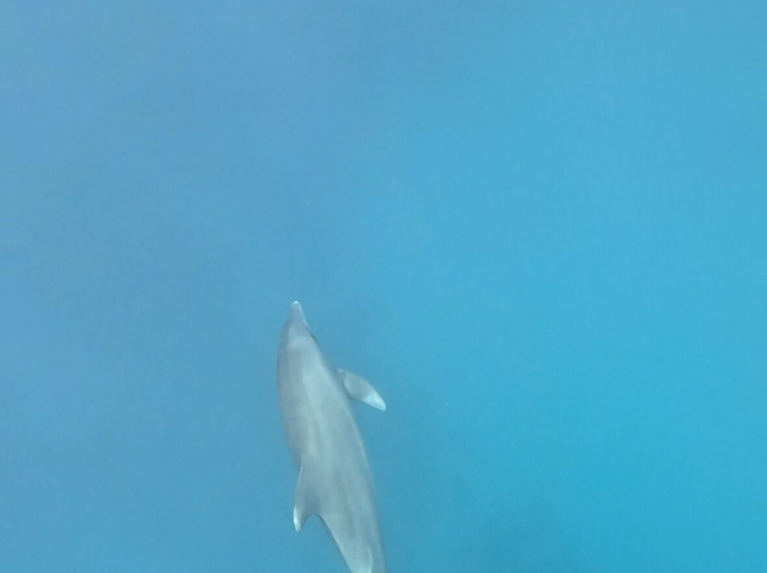 Erlebnis Ägypten-Safaga必去景点