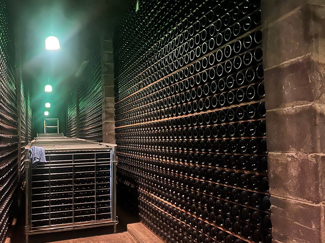 Schramsberg Vineyards-卡利斯托加必去景点