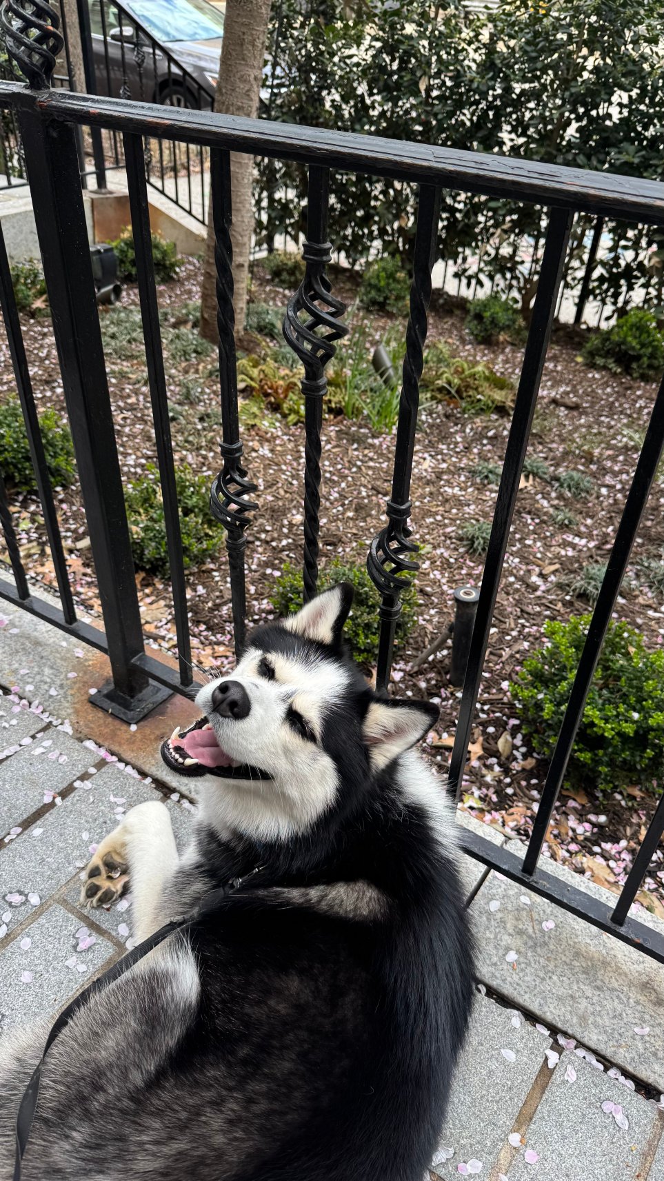 杰佛逊酒店-官方