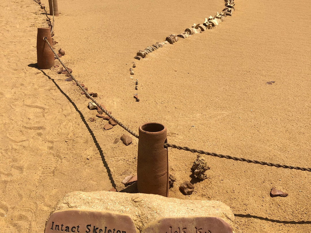 Explore Fayoum Tours-法尤姆必去景点