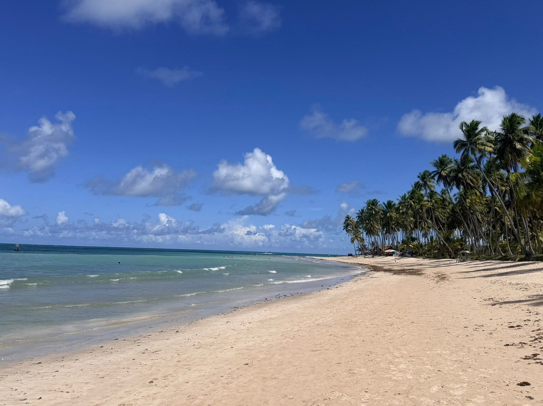 Briza Beach Club Carneiros-Tamandare必去景点