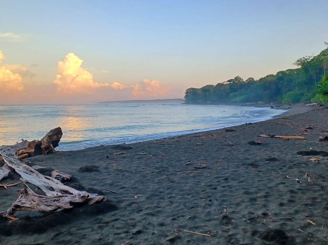 Corcovado Hiking Tours-希门尼斯港必去景点