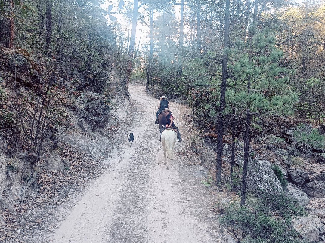 Creel Paseos A Caballo Vaquero-Creel必去景点
