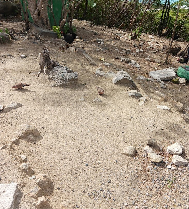 Cole Bay Hill-菲利普斯堡必去景点