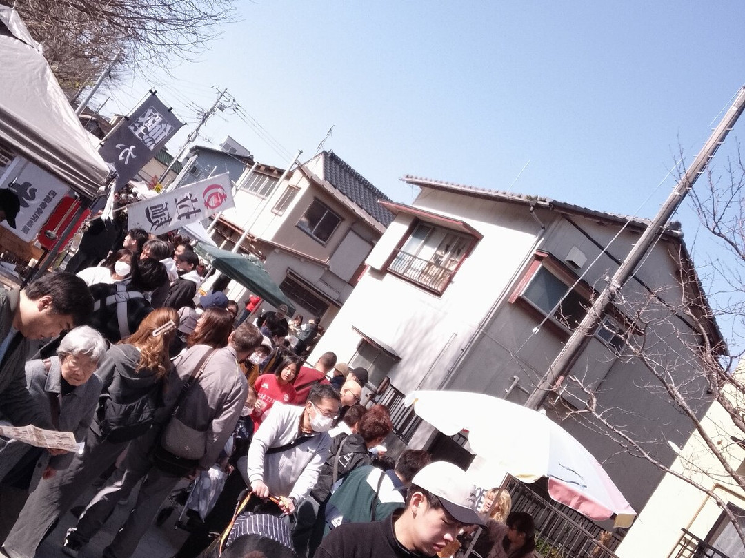 Morning Market-胜浦市必去景点