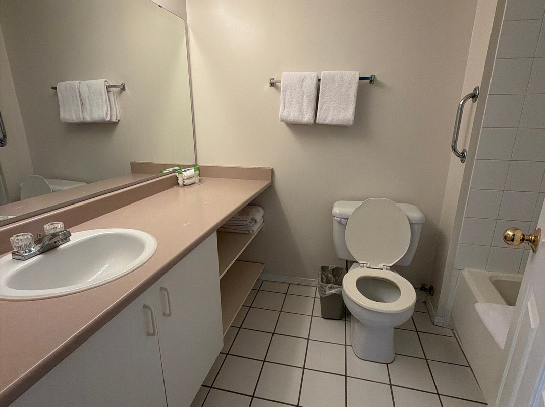 桑德曼威廉斯莱克套房酒店主图