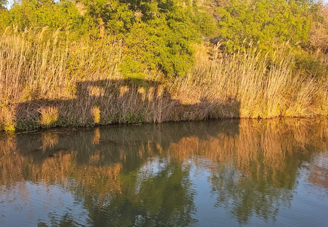 Canalous - Colombiers-Colombiers必去景点