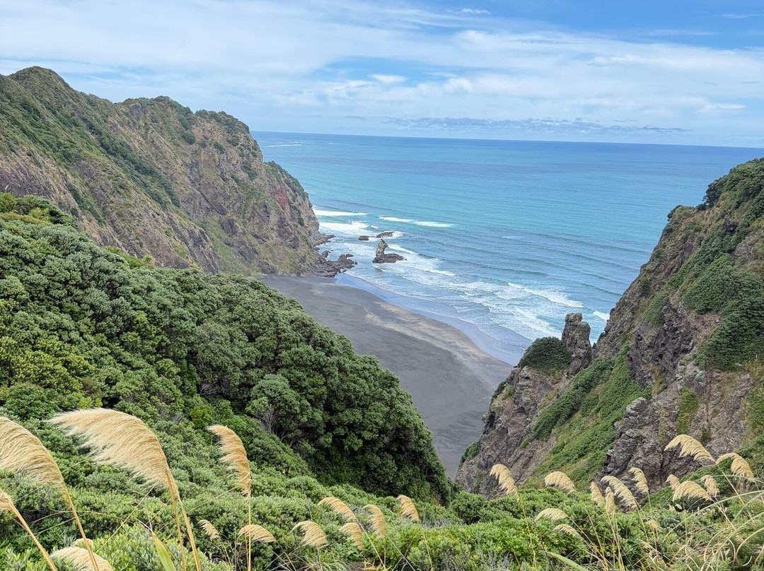 Mercer Bay Loop-皮哈海滩必去景点