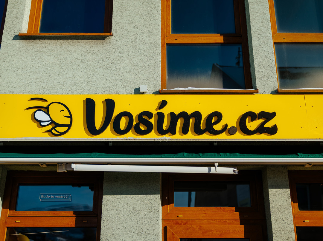 Vosime