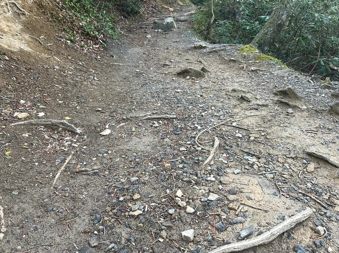 Hickory Nut Falls Trail-Chimney Rock必去景点