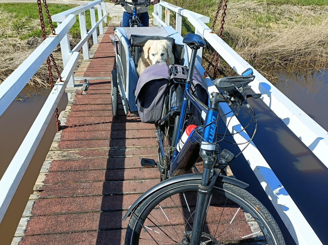 帕克霍特尔Tjaarda主图