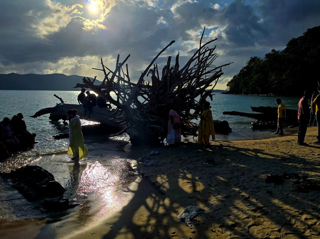 Chidiya Tapu-布莱尔港必去景点