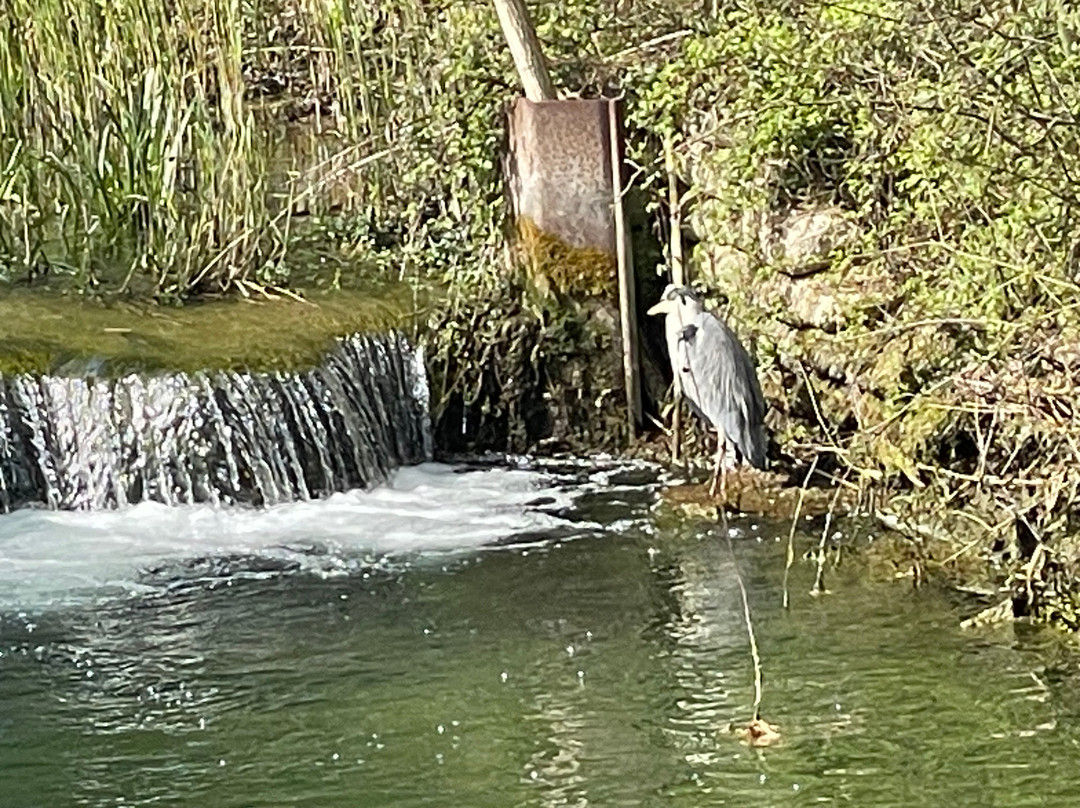 Lower Mill Estate主图