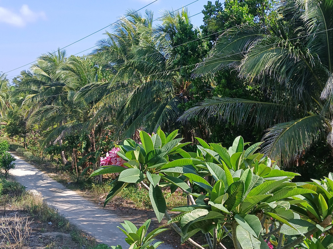 拉娜斯海滩度假村主图