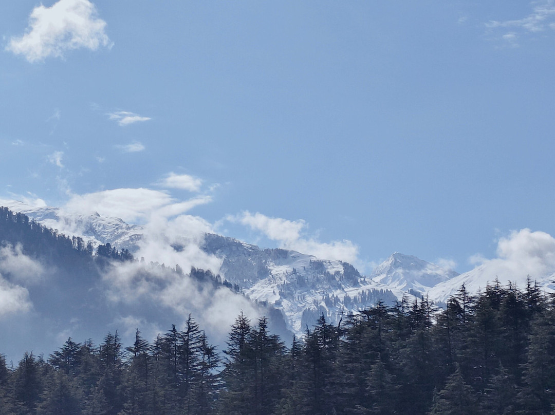 马拉里果园草坪酒店主图