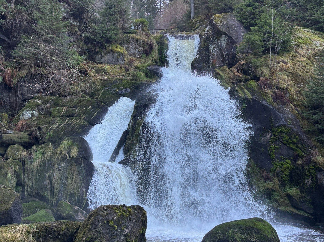 Triberger Waterfall-特里贝格必去景点