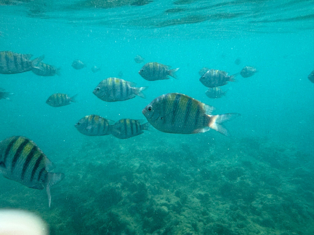 S酒店蒙特哥湾 - 豪华精品全包酒店主图