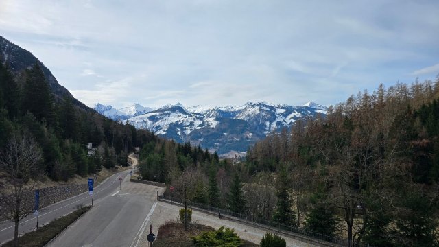 埃里卡酒店-旅行者