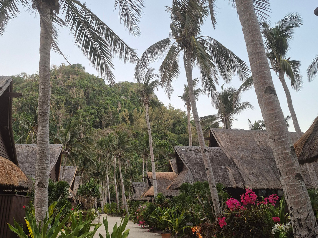 卡瓦延岛度假村-爱妮岛主图