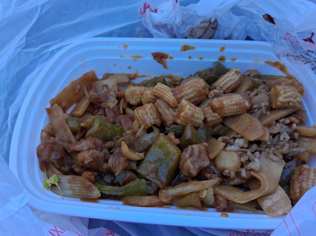 The Peking House