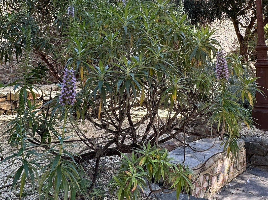 圣母堂-戛纳必去景点