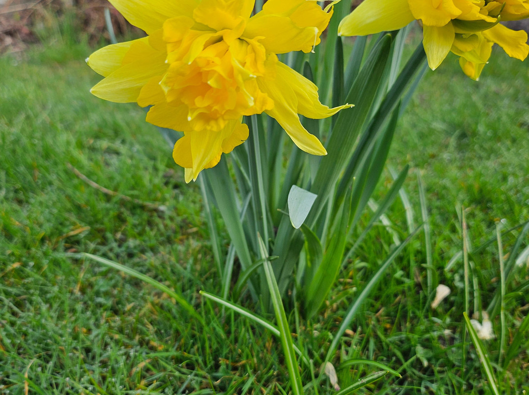 Jardin Botanique Jean-Marie Pelt-Villers-les-Nancy必去景点