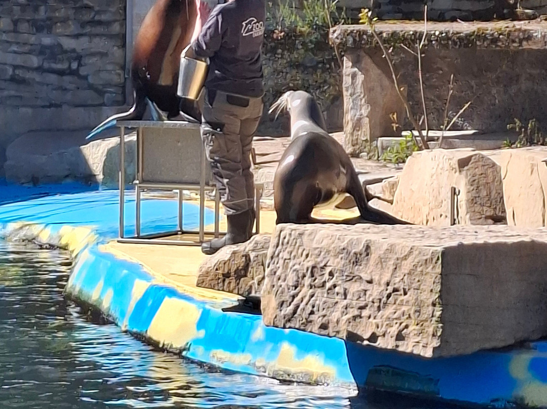 Zoo Duisburg-杜伊斯堡必去景点