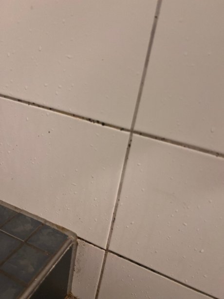 Sport Hotel 肯青根体育酒店-旅行者