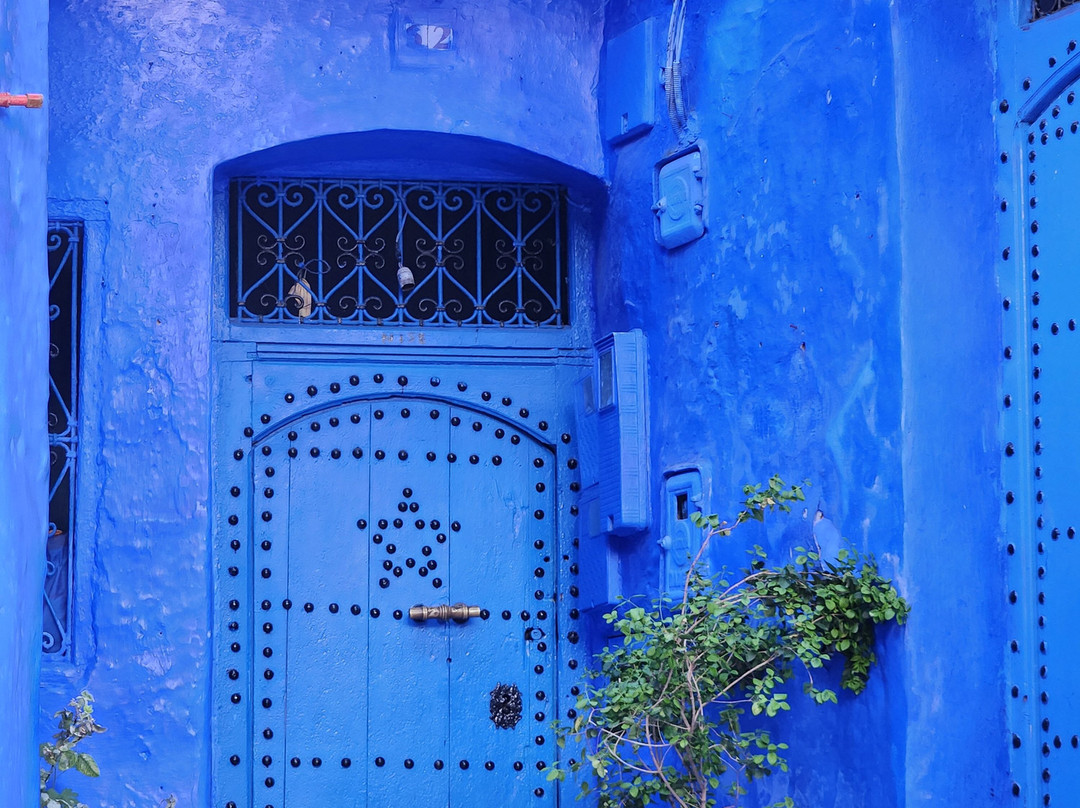 Rove Morocco Travels-卡萨布兰卡必去景点