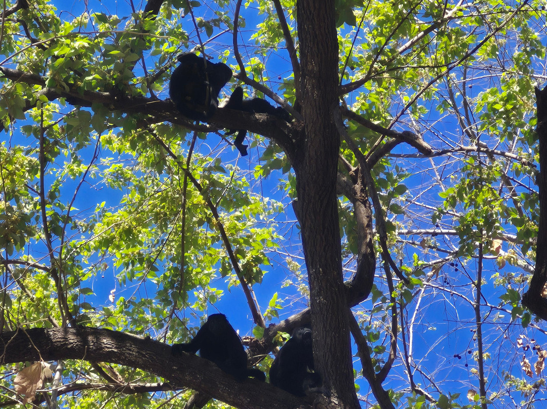 西帕帕加约酒店-限成人-全包主图