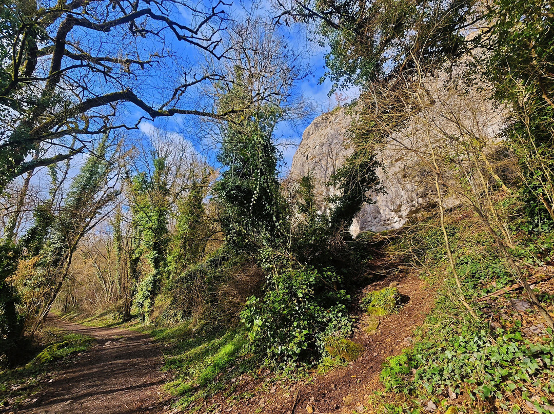 Site d'escalade de Beauvoir