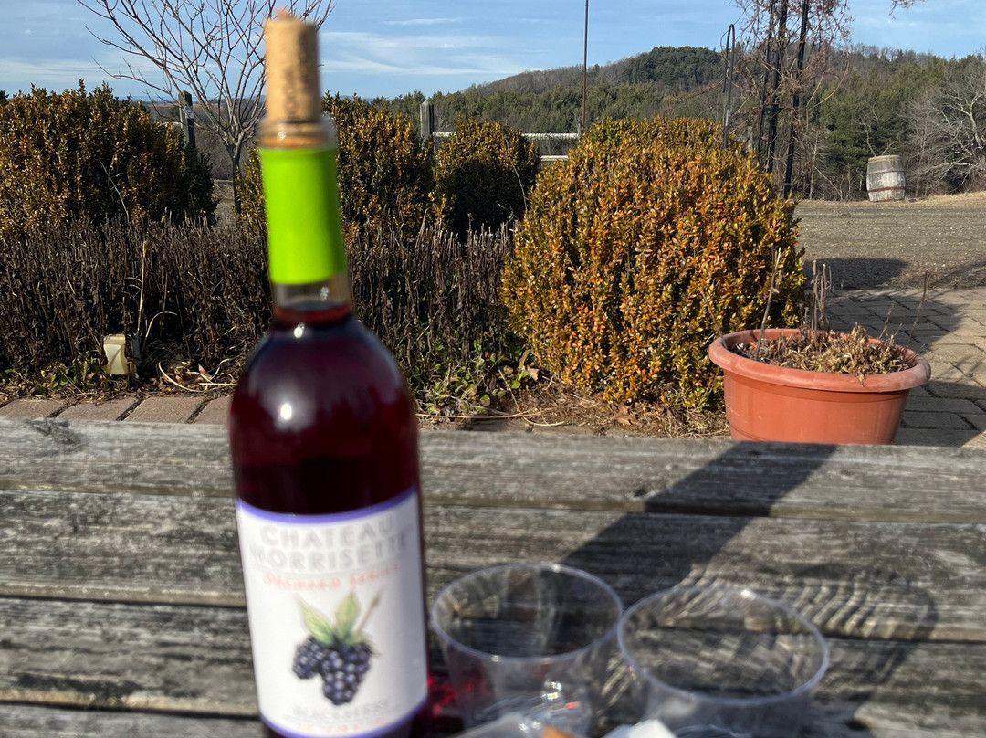 Chateau Morrisette Winery-Floyd必去景点