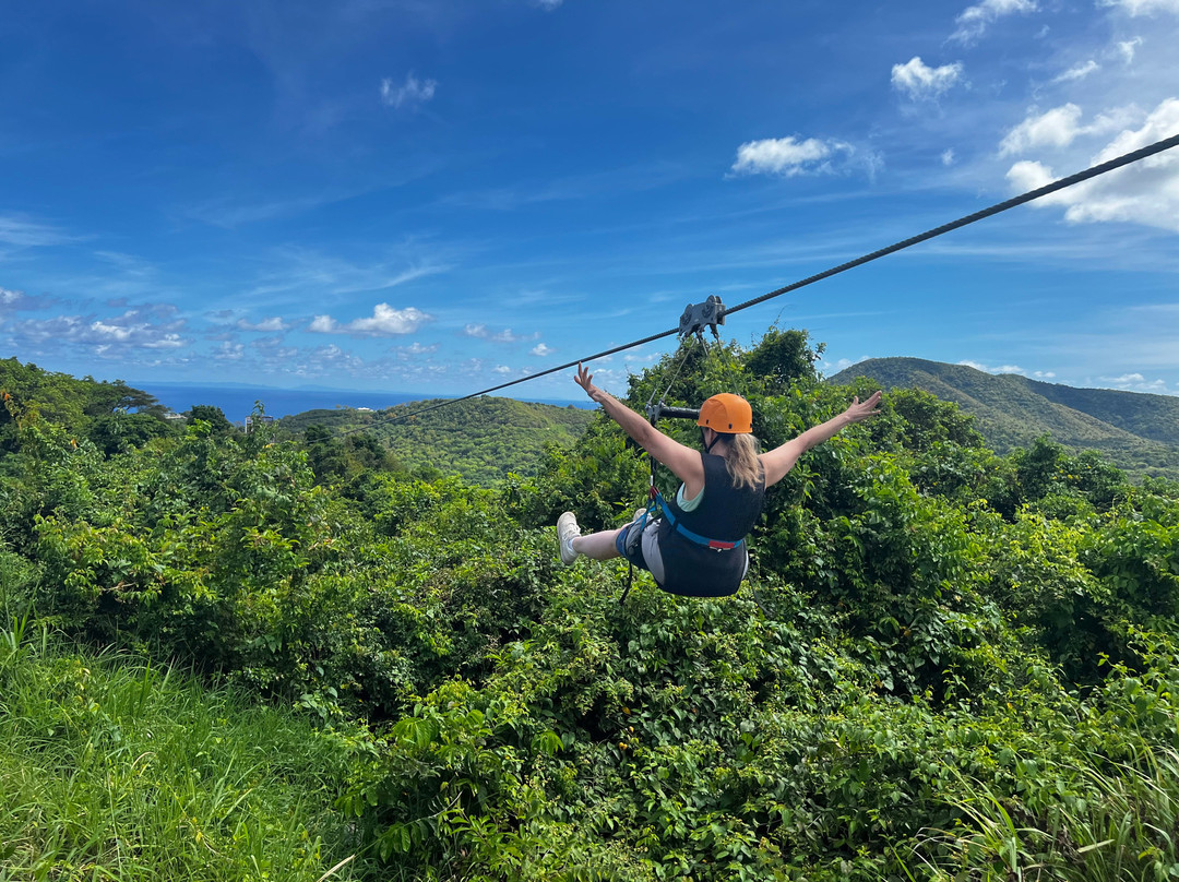 Carambola Zip Line-Frederiksted必去景点