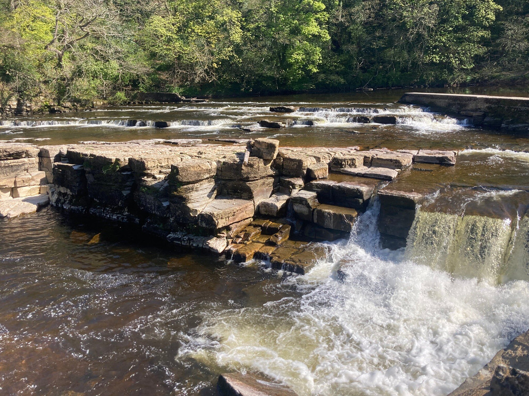Richmond Falls-里士满必去景点