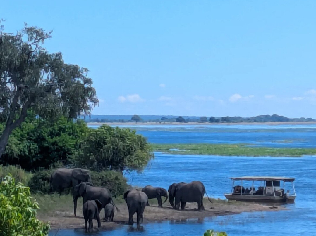 African Overland Tours-开普敦中心区必去景点