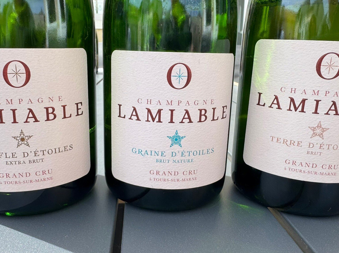 Champagne Lamiable-Tours-sur-Marne必去景点