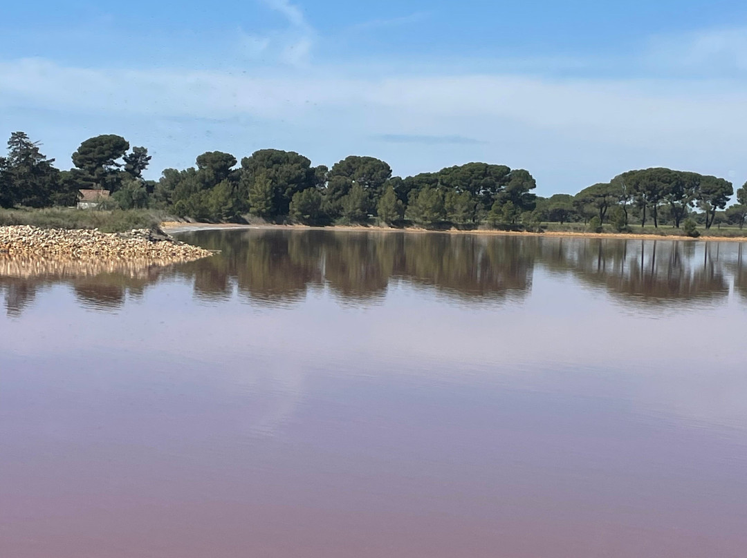 Salin d'Aigues-Mortes-艾格莫尔特必去景点
