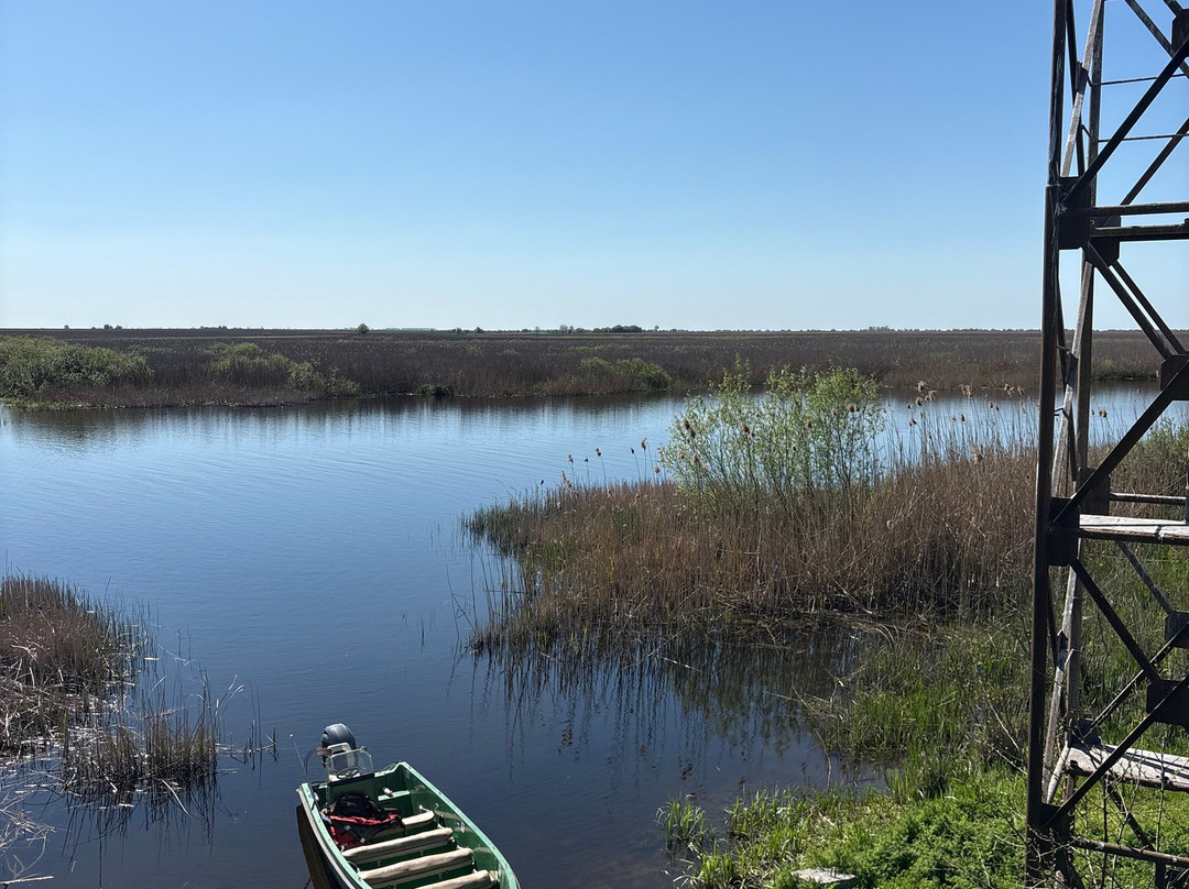 Tours in Delta with John-Crisan必去景点