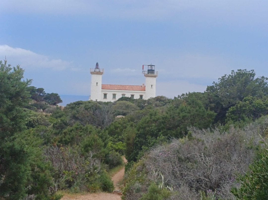 Senetosa Lighthouse-Sartene必去景点