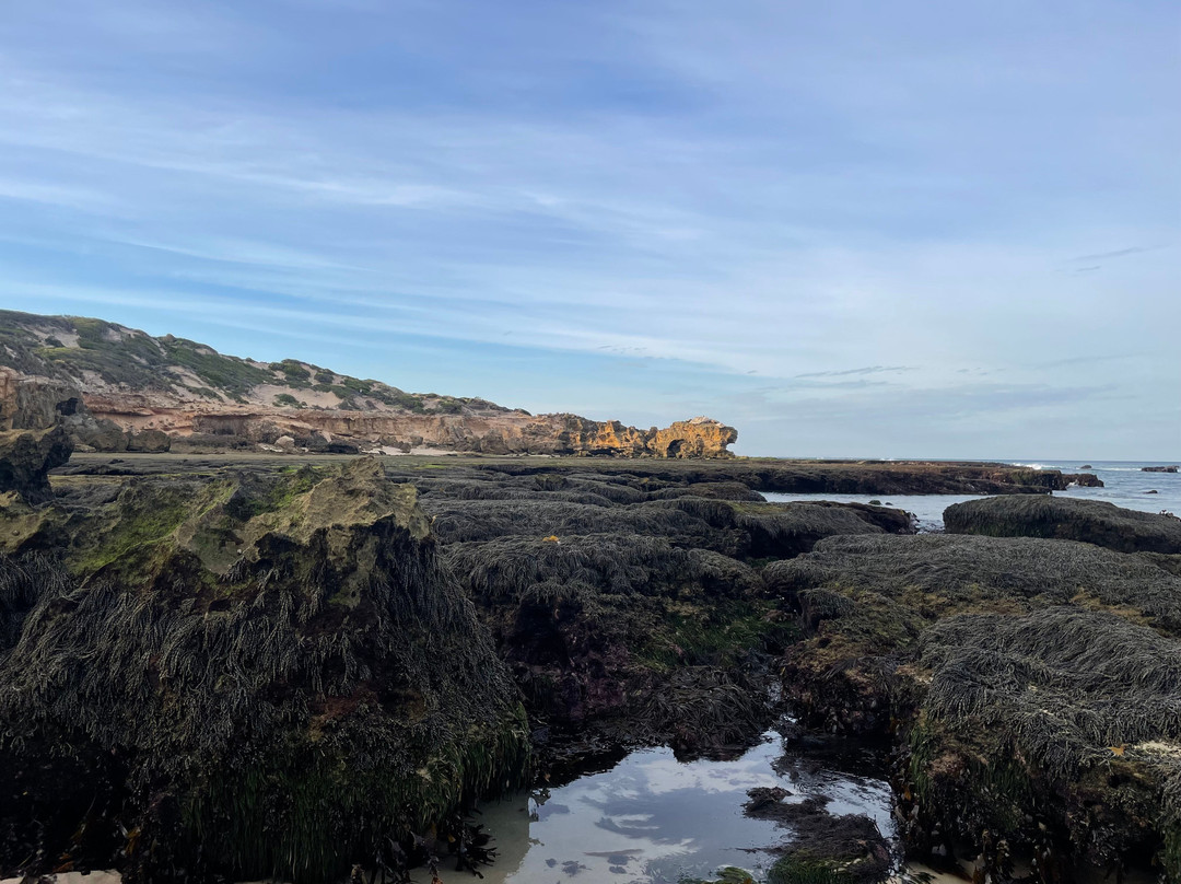 Bridgewater Bay-Blairgowrie必去景点