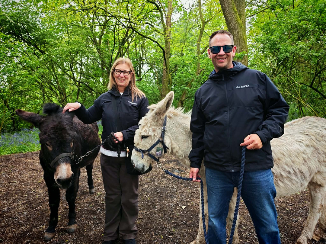 Charnwood Forest Alpacas-Boundary必去景点