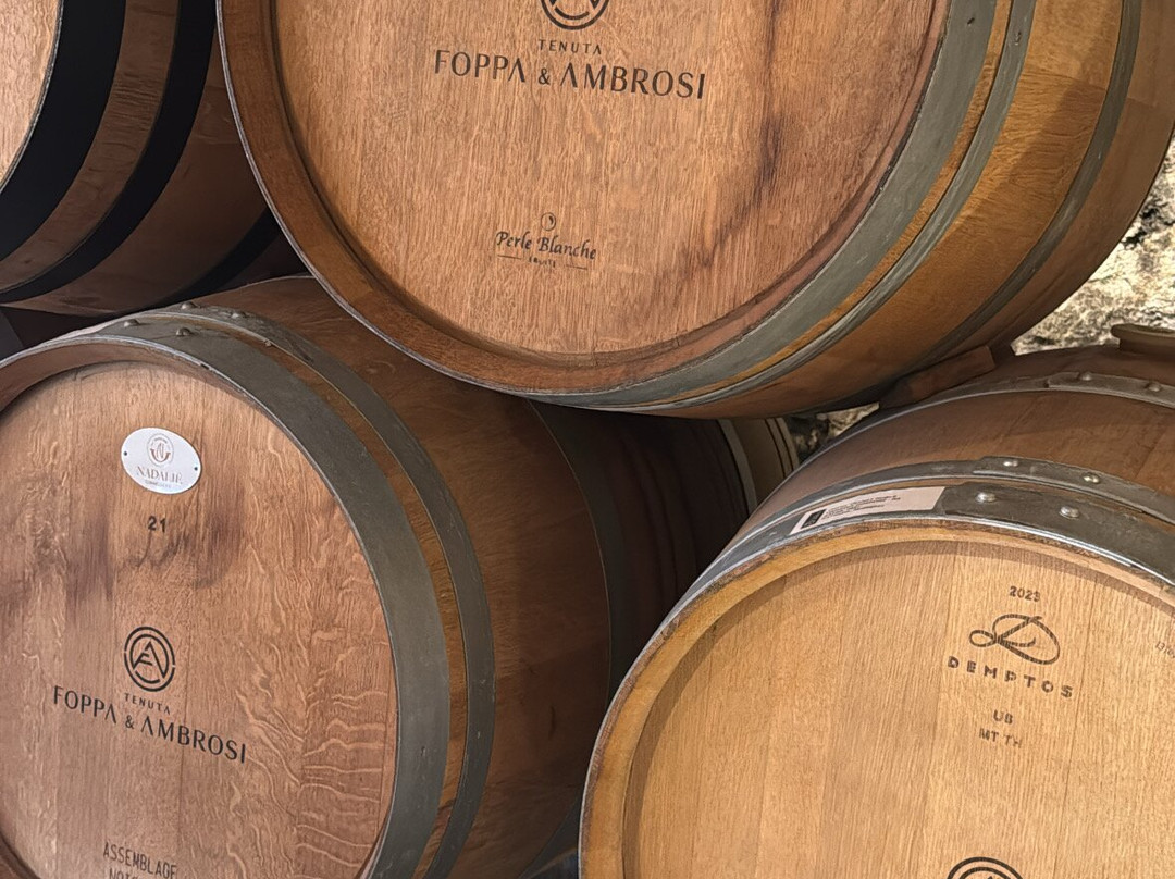Vinícola Foppa & Ambrosi-Garibaldi必去景点