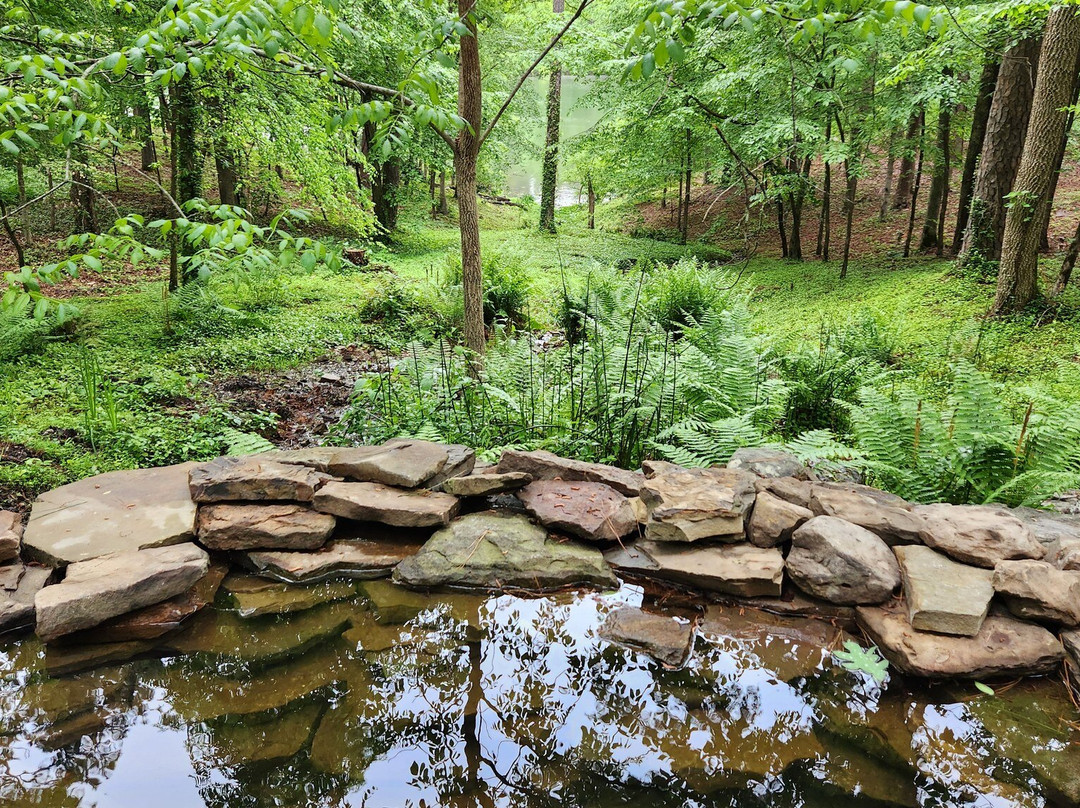 Garvan Woodland Gardens-温泉城必去景点