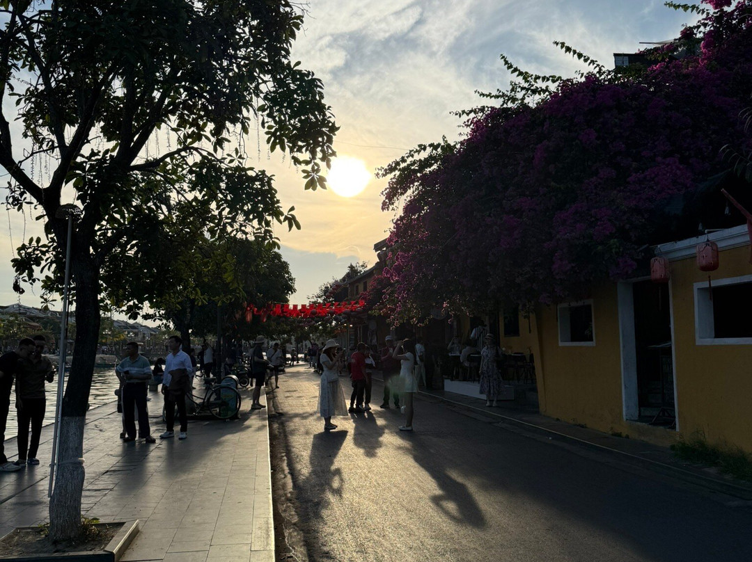 Hoi An Day Trip Company-会安必去景点